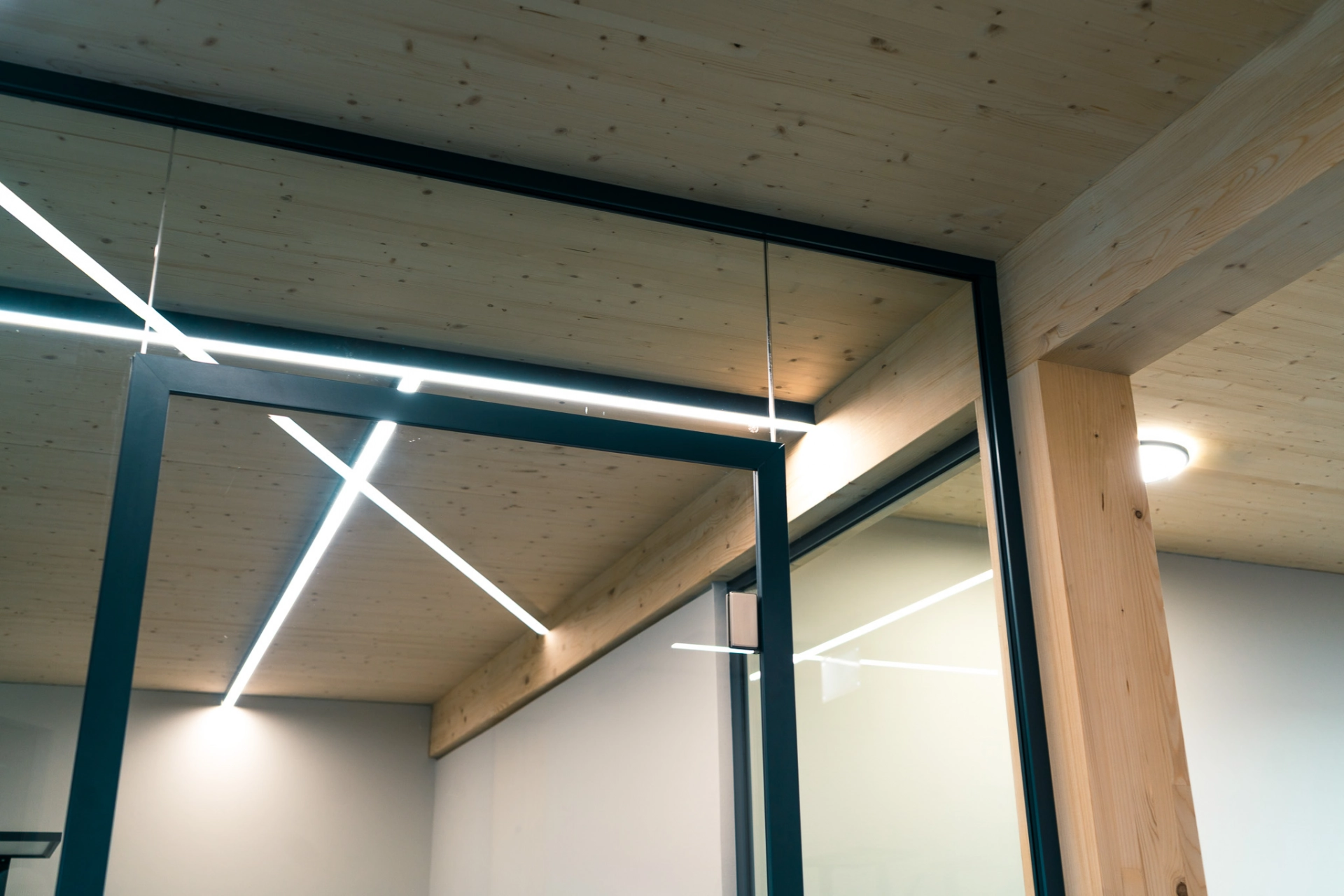 251208_Feige_Fotos-72