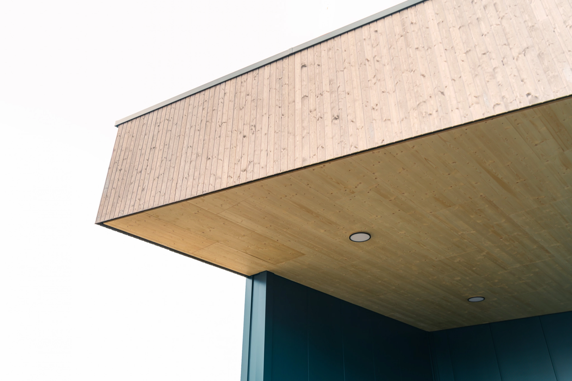 251208_Feige_Fotos-95